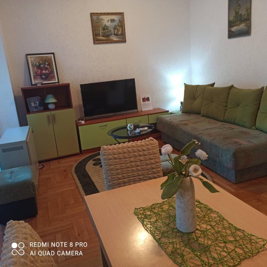 Apartman Radicevic Vrnjačka Banja 外观 照片